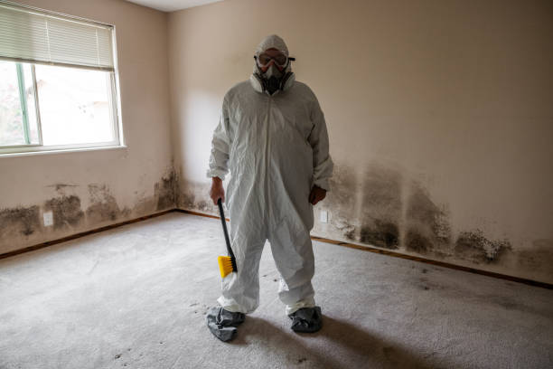 Mold Removal Process in Fostoria, OH